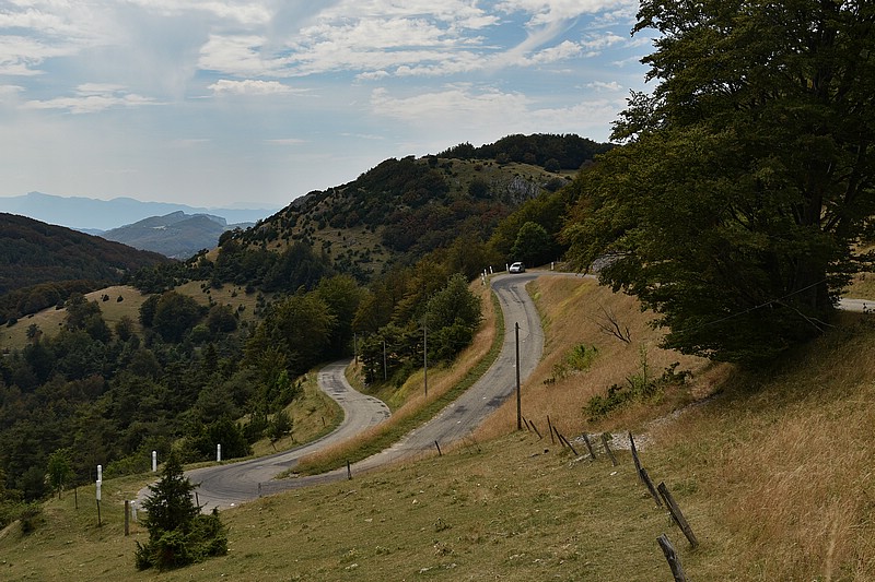 DSC_3318RAW.jpg