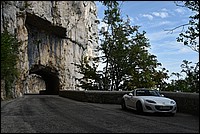 DSC_3295.JPG