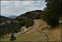 DSC_3318RAW.jpg