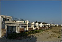 DSC_3599RAW.jpg