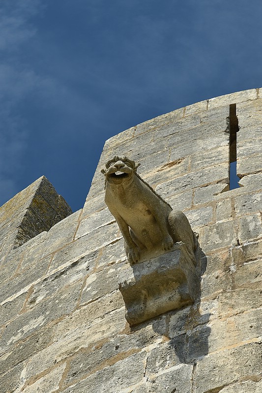 DSC_3347RAW.jpg