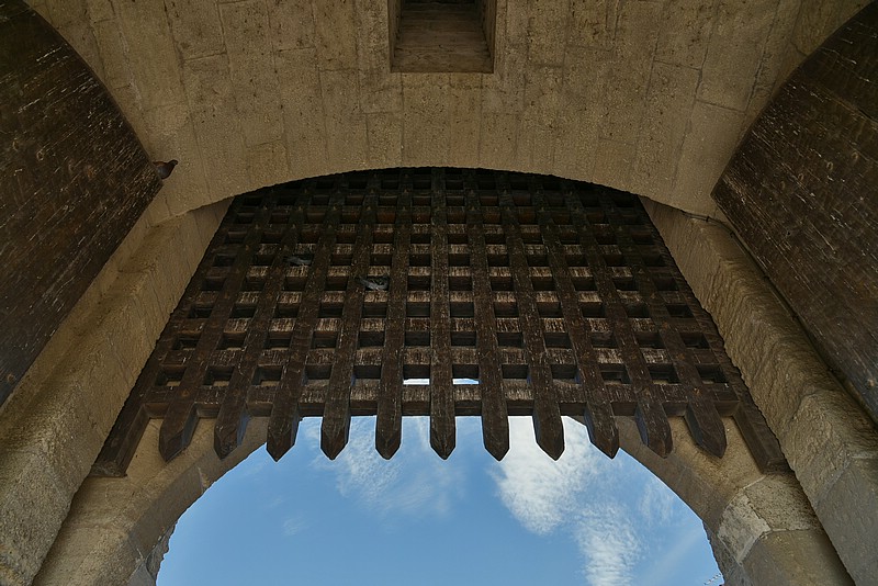 DSC_3367RAW.jpg