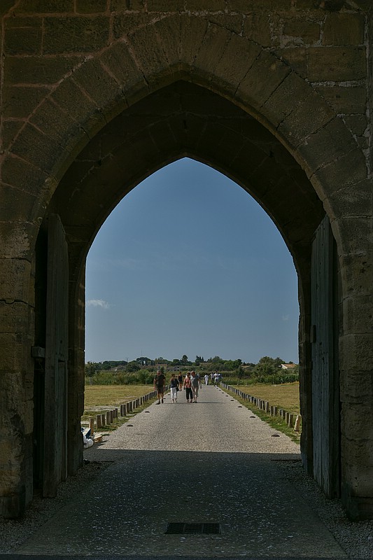 DSC_3378RAW.jpg