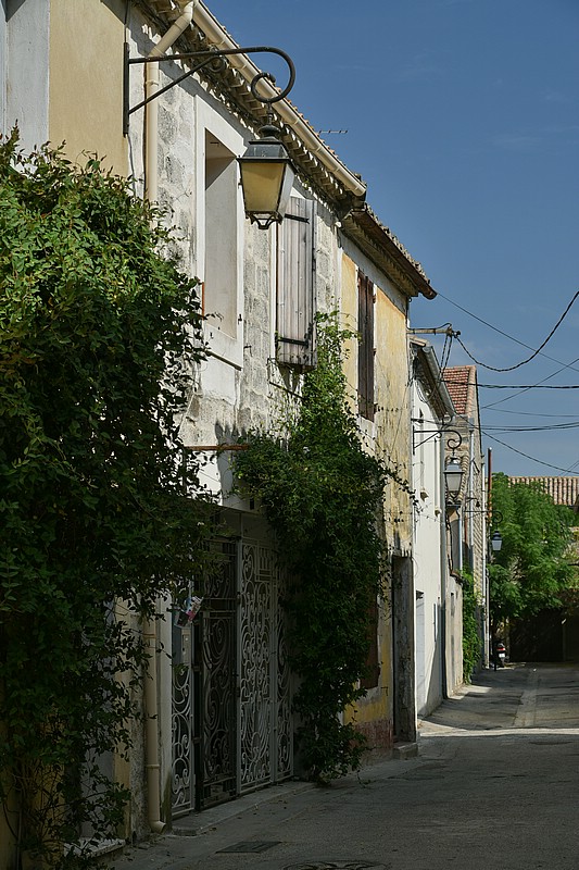 DSC_3379RAW.jpg