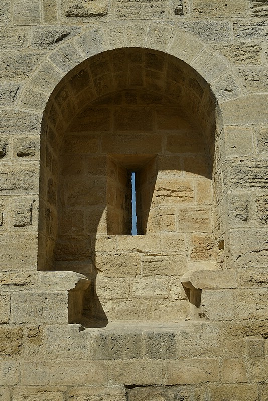 DSC_3391.JPG
