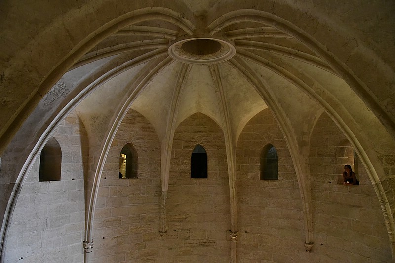 DSC_3466.JPG