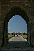 DSC_3378RAW.jpg
