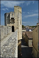DSC_3408.JPG
