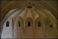 DSC_3466.JPG