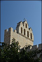 DSC_3524.JPG