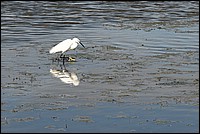 DSC_4647RAW.jpg