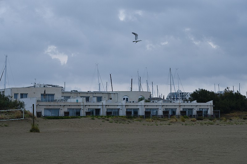 DSC_3613RAW.jpg