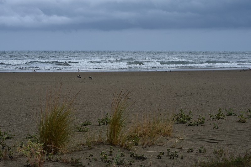 DSC_3821RAW.jpg