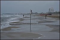 DSC_3618RAW2.jpg