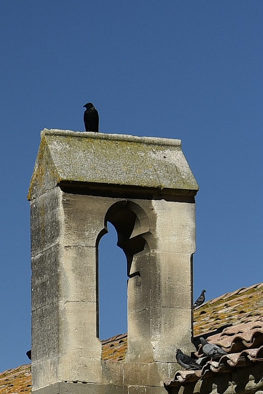 DSC_3836RAW.jpg