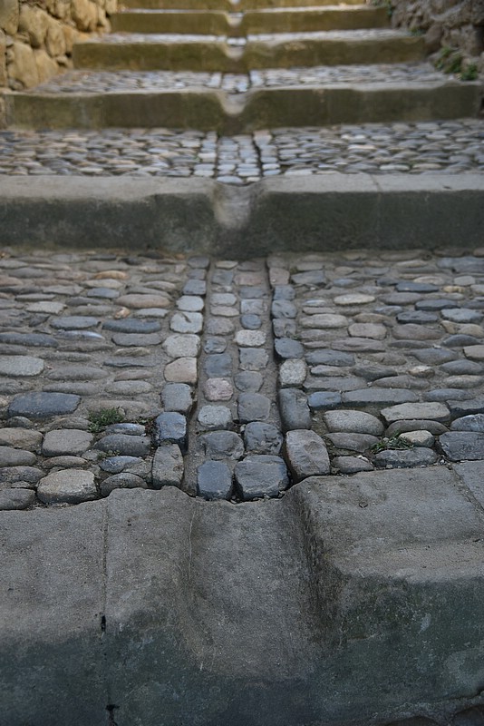 DSC_3871.JPG