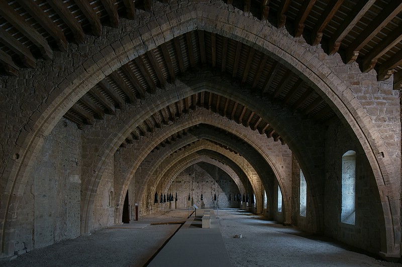 DSC_4058RAW.jpg