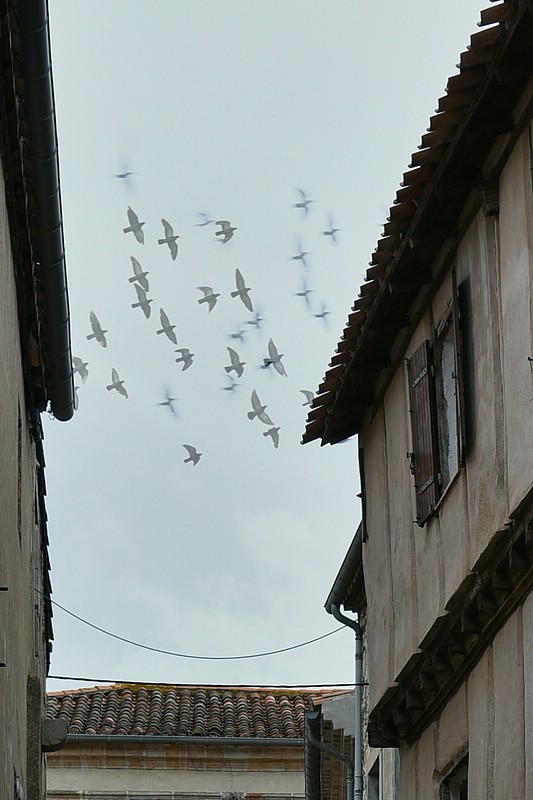 DSC_4119RAW3.jpg