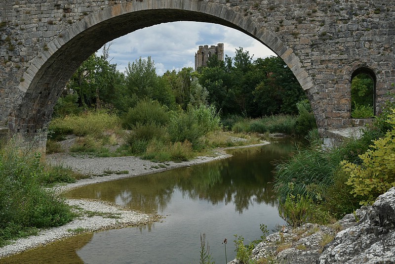 DSC_4137RAW.jpg