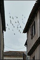 DSC_4119RAW3.jpg