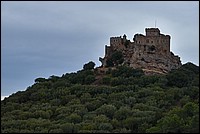 DSC_4140RAW2.jpg