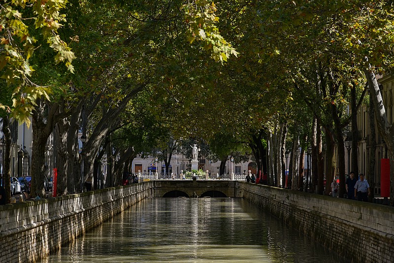 DSC_4258RAW.jpg