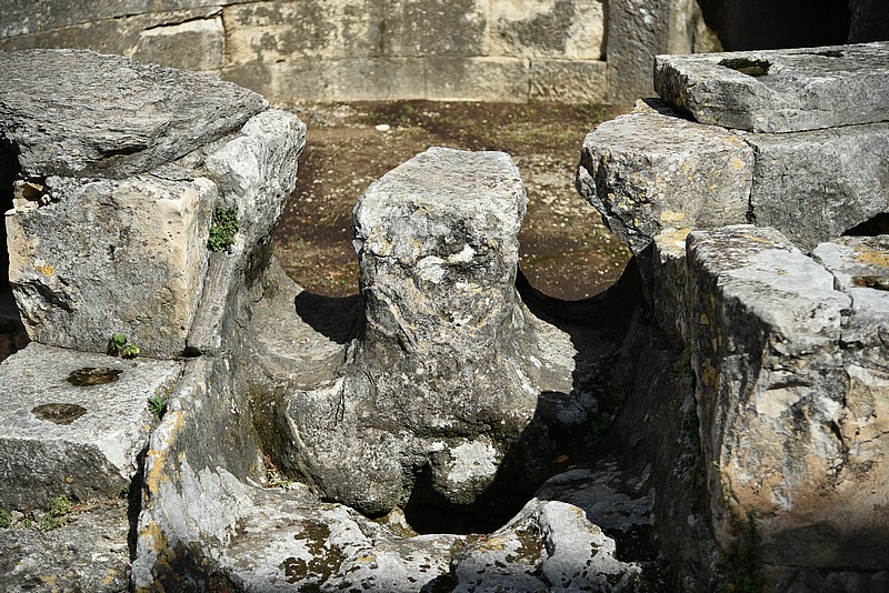 DSC_4362.JPG