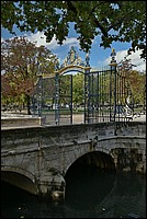 DSC_4267RAw.jpg