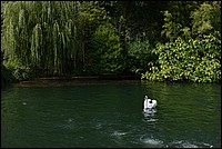 DSC_4287RAW.jpg