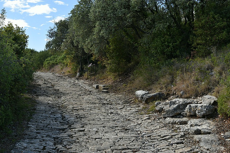 DSC_4390.JPG