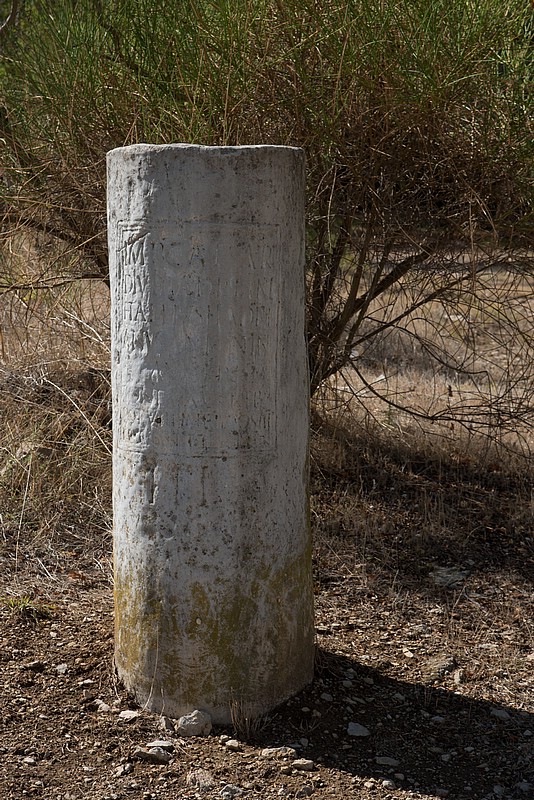 DSC_4425RAW.jpg