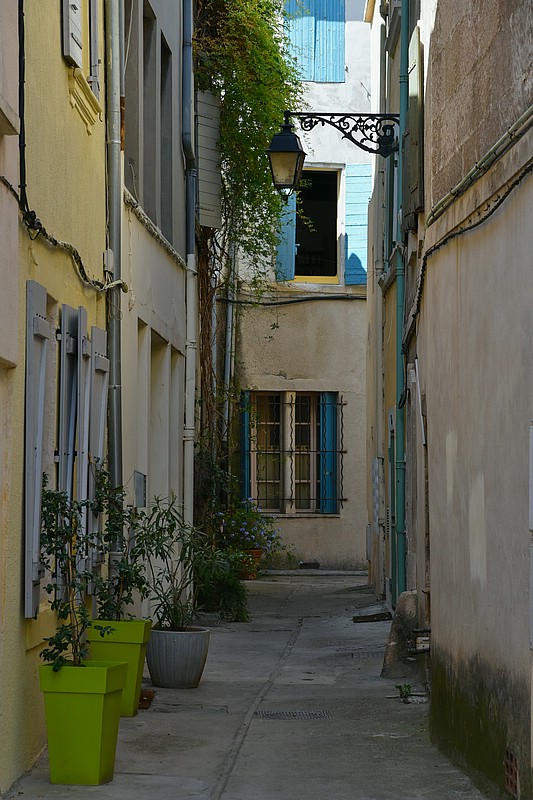 DSC_4432RAW.jpg