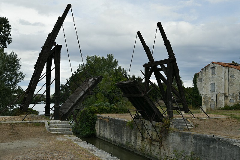 DSC_4654RAW.jpg