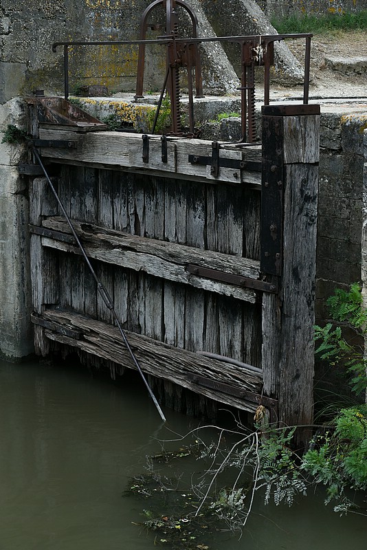 DSC_4658RAW.jpg