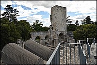 DSC_4525RAW.jpg