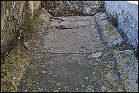 DSC_4635.JPG