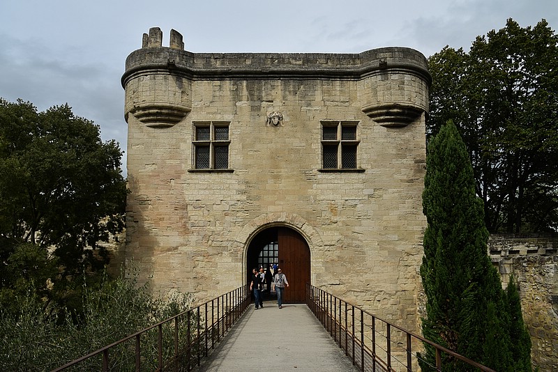DSC_4687RAW.jpg