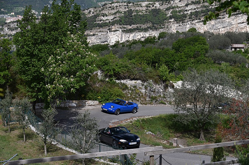 DSC_4958C.jpg