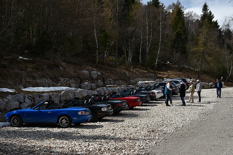DSC_4976RAW.jpg