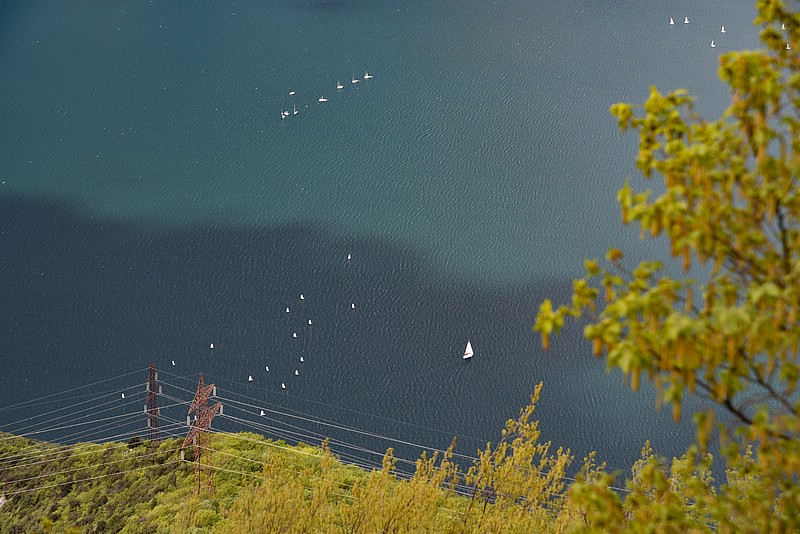 DSC_4988RAW.jpg