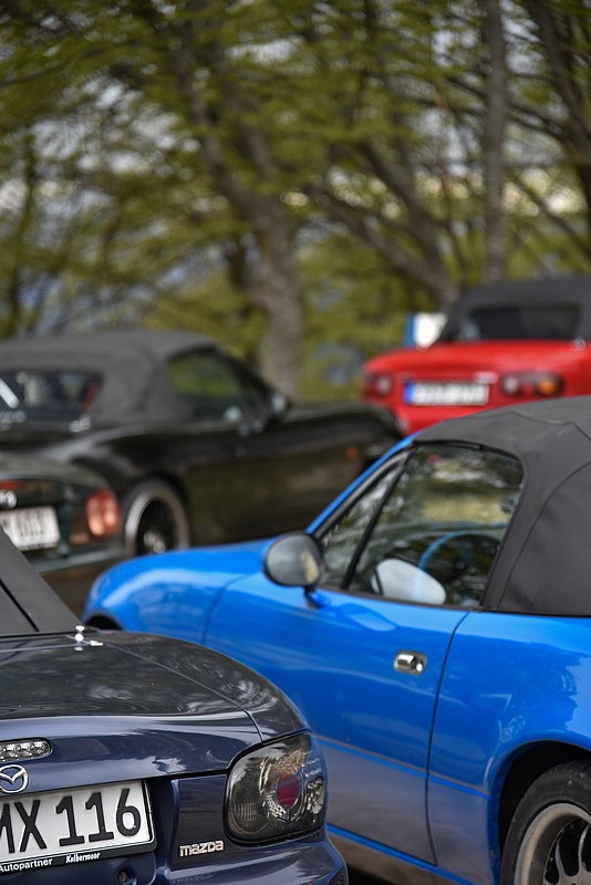 DSC_5045RAW.jpg
