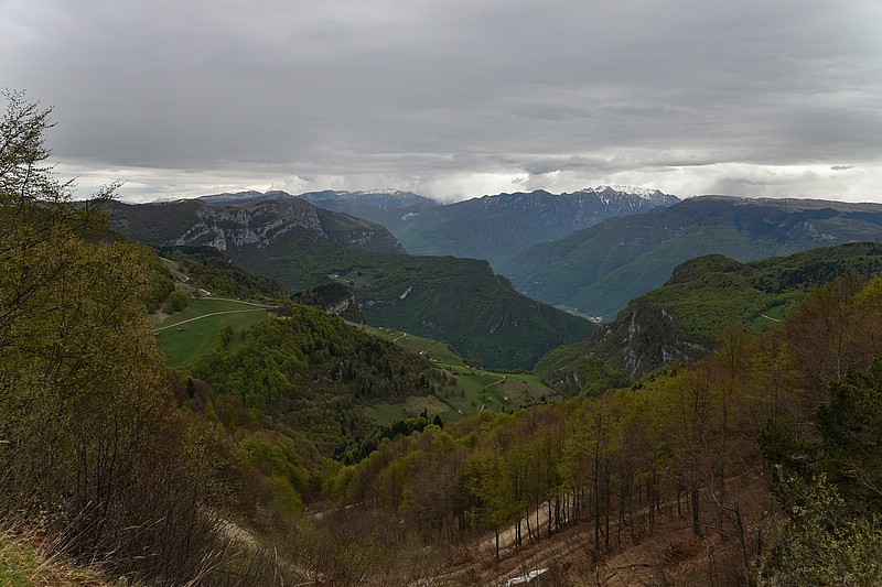 DSC_5048RAW.jpg