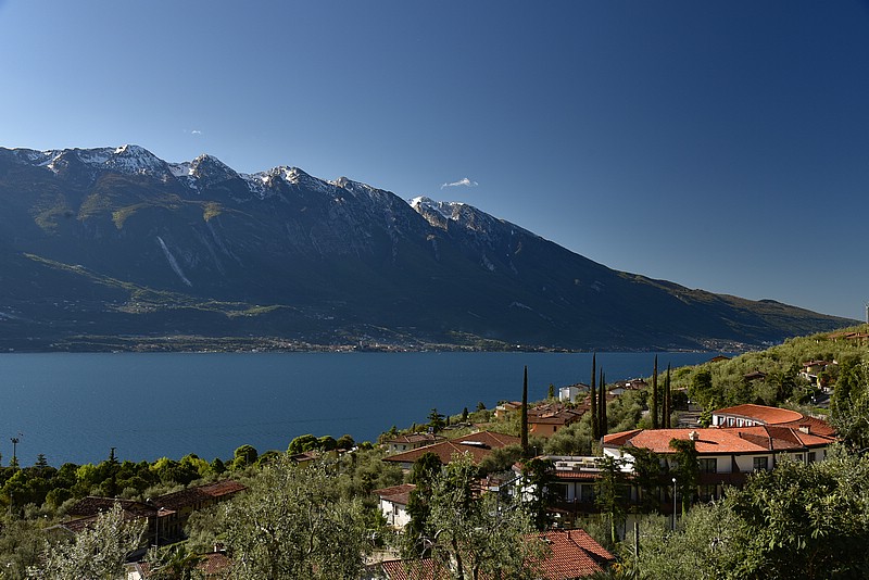 DSC_5139RAW.jpg