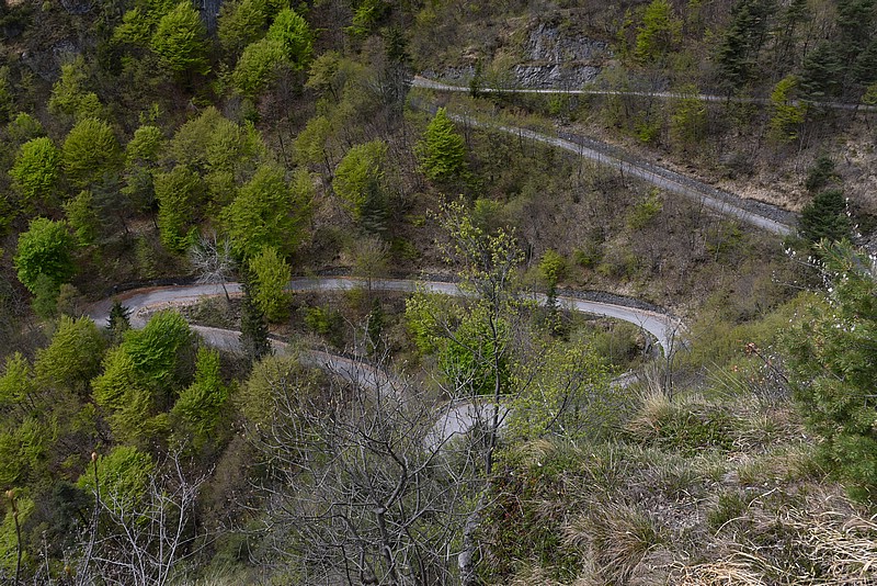 DSC_5288RAW.jpg