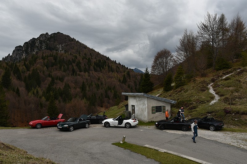 DSC_5311RAW.jpg