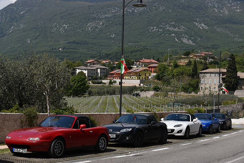 DSC_5482.JPG