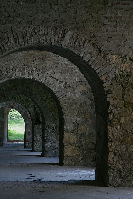 DSC_5507RAW.jpg
