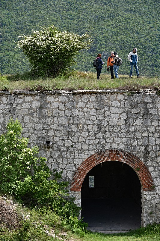 DSC_5523RAW.jpg