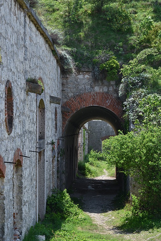 DSC_5528RAW.jpg