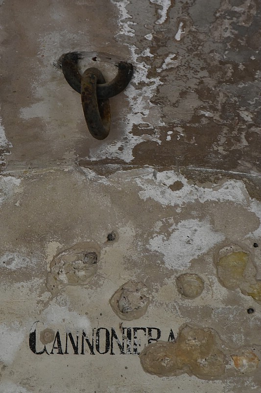 DSC_5529RAW.jpg